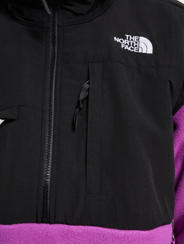 The North Face Denali Fleecepullover-6