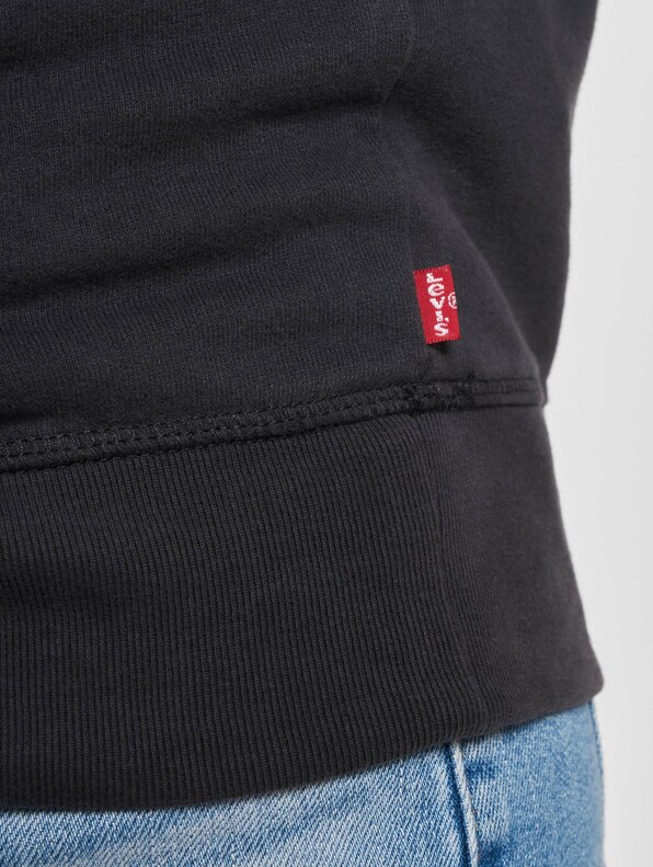 Levis Graphic Standard Hoodie-5