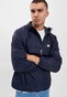 blue_29725
