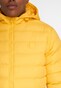 yellow_3276