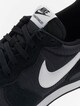 Internationalist -7