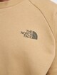 The North Face Coordinates Sweater-4