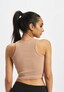rose_15461