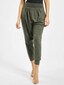 olive_31848