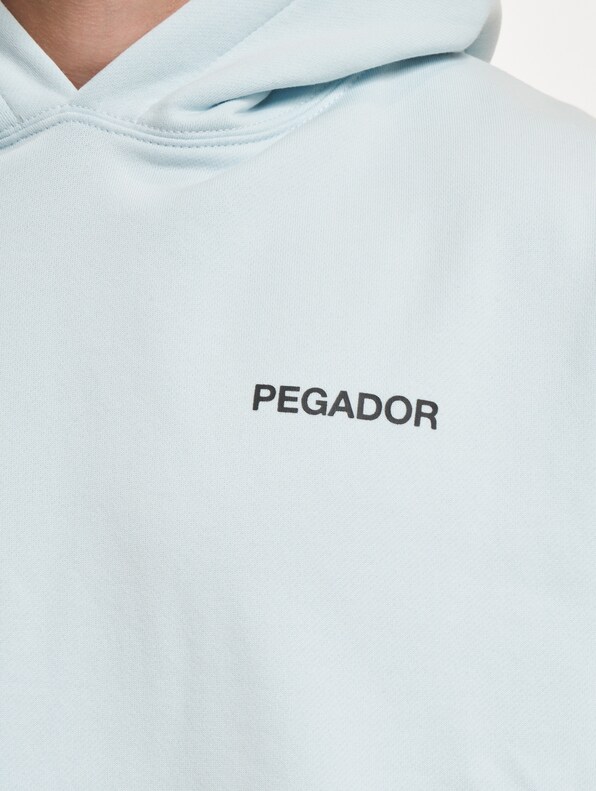 PEGADOR Aleso Oversized Hoodie-4