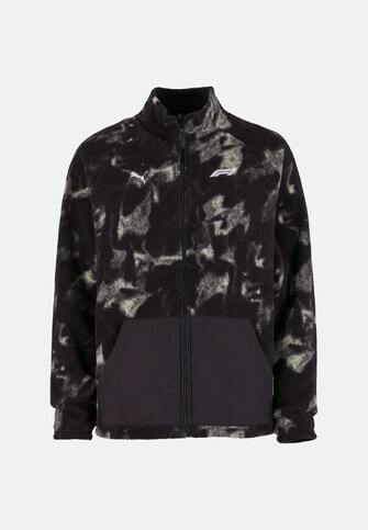 F1 Statement Reversible