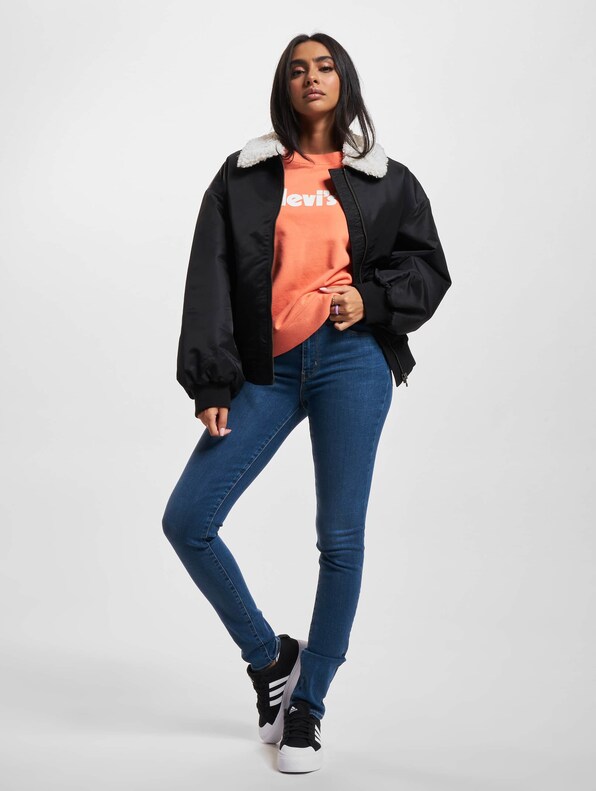 Levis Graphic Pullover-5