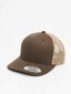 brown_41279