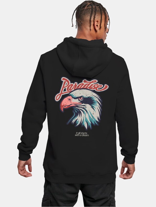 Eagle Paradise -1