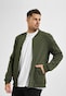 olive_10041