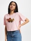 rose_129857