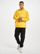 Hidden Hood Pull Over-7