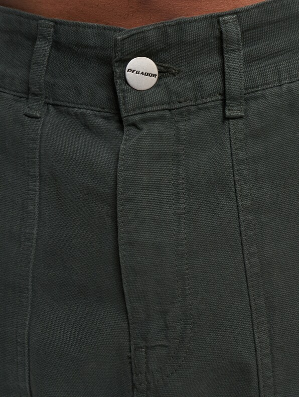 Pegador Tayls Cargo Pants-3