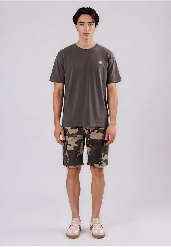 Dickies Mapleton T-Shirt-2