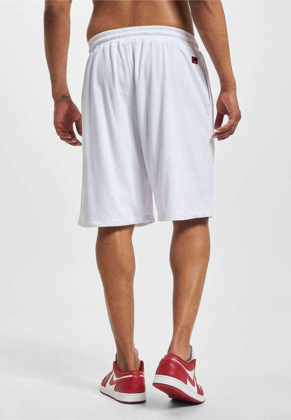 FM232-005-3 FUBU Varsity Mesh Shorts-1