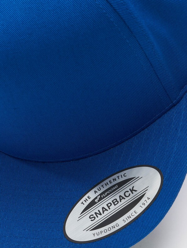 Classic 5 Panel -3