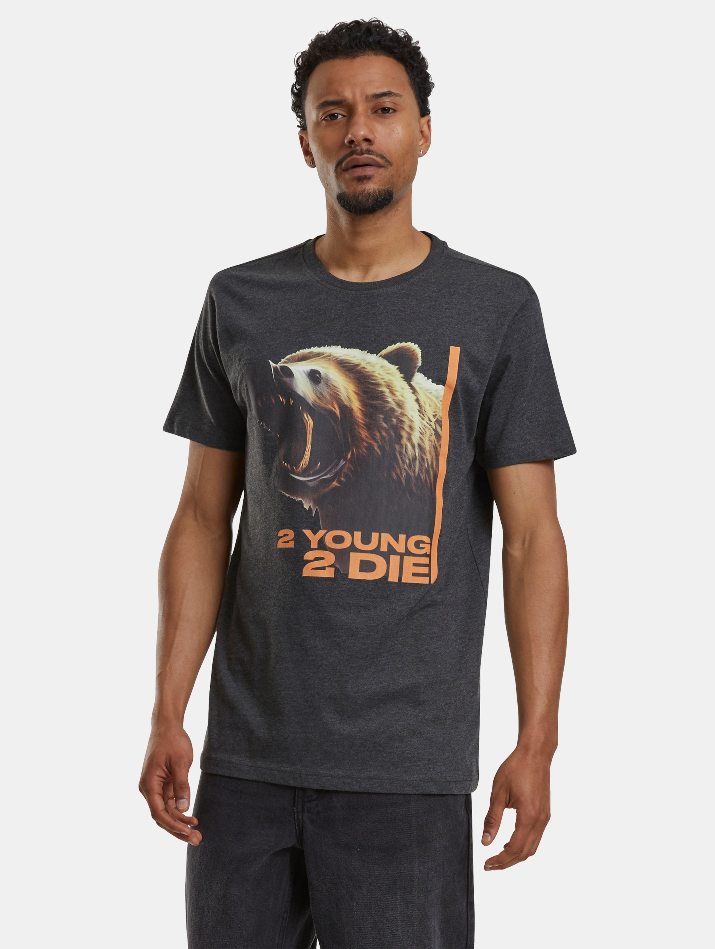 Mister Tee Heren Tshirt -S- 2 Young 2 Die Grijs