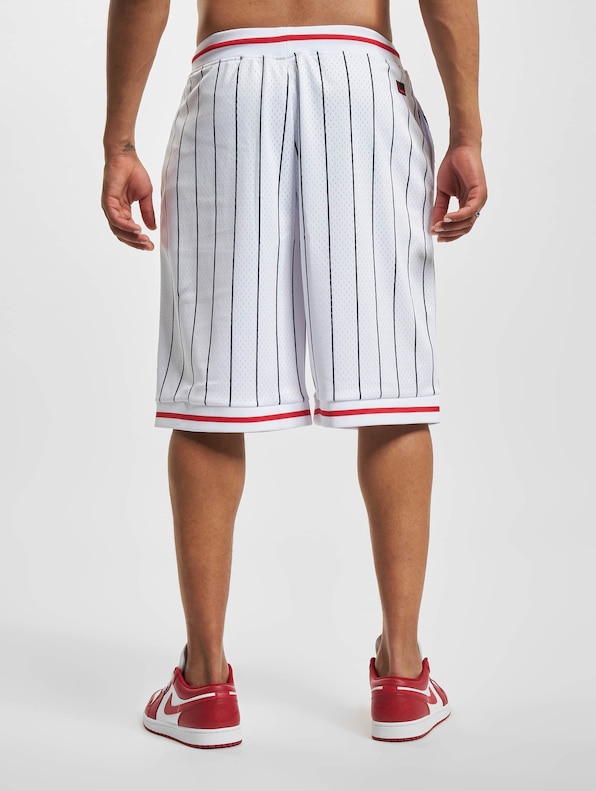 Varsity Pinstriped Mesh-1