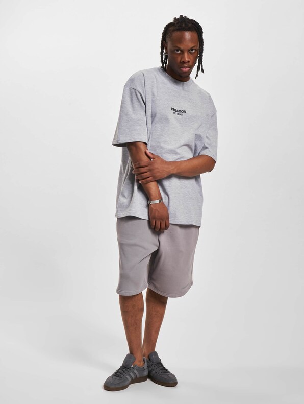 PEGADOR Mouncy Oversized T-Shirt-5