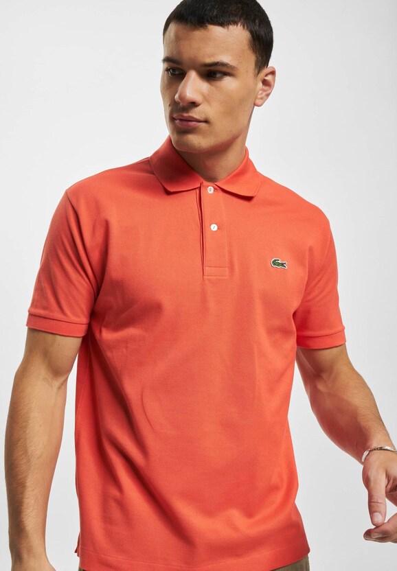 Polo-4