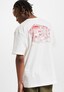 white_135007