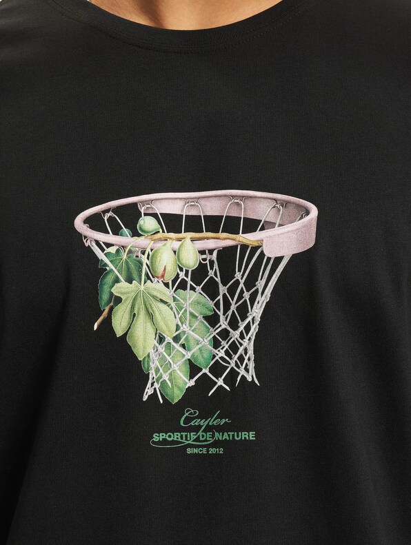 The Basket -3