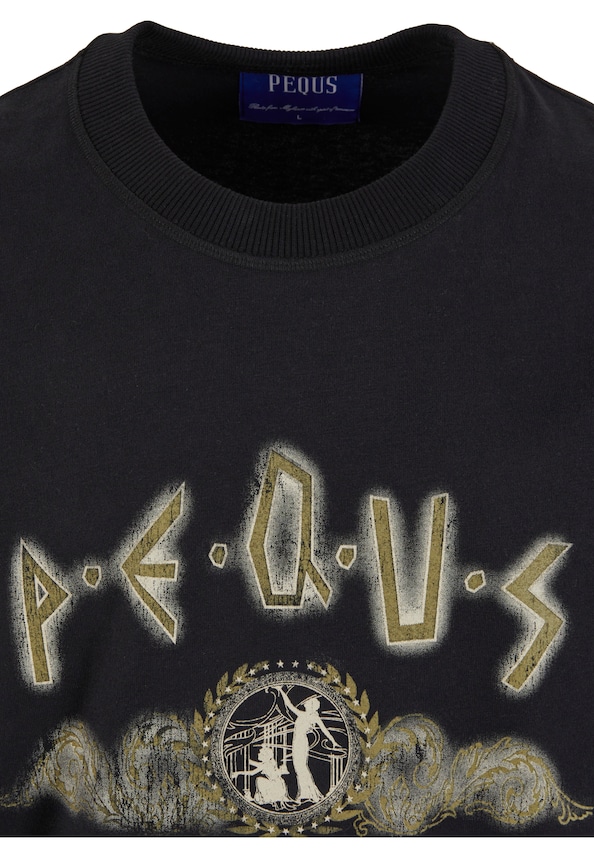 PEQUS Ancient Painting T-Shirt-3