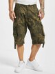 Alpha Industries Jet Shorts-2