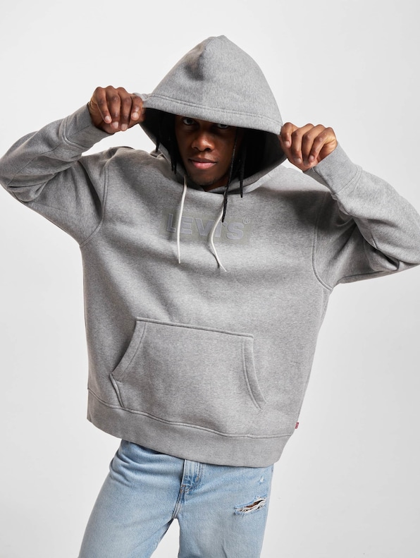 Levi's® Relaxed Graphic Hoody-0