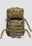 brown_143713