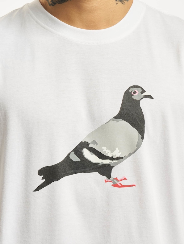 Pigeon -3