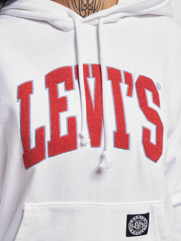 Levis Graphic Standard Hoodie-4