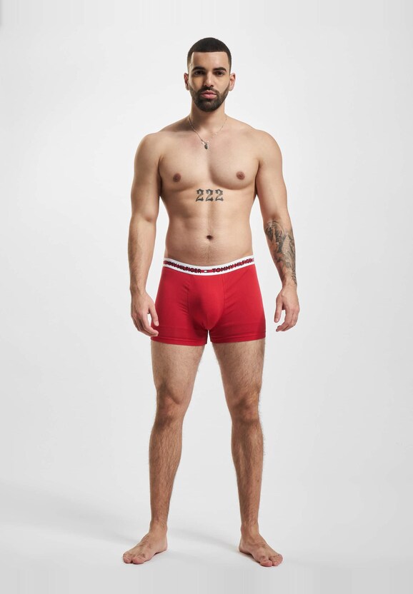 Underwear Trunk-2