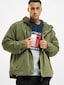 olive_38265