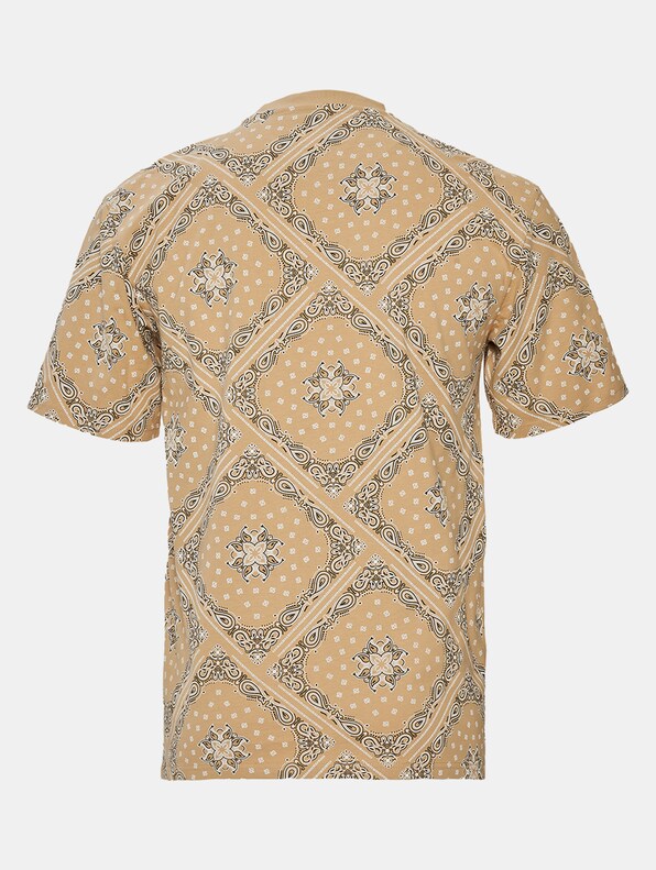 KK Small Signature Paisley-5