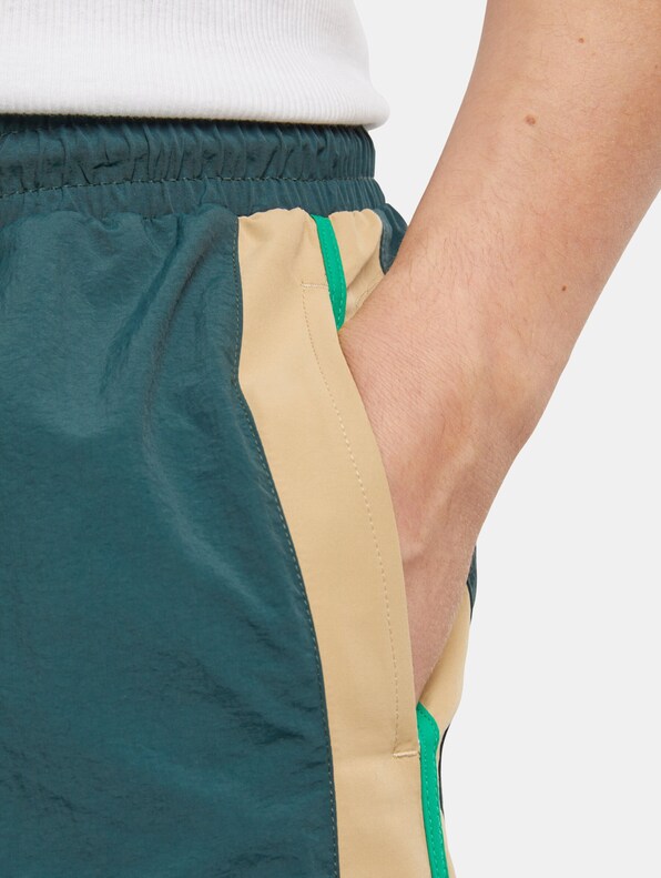 Retro Look Swim Shorts-6