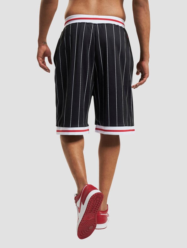 FUBU Varsity Pinstriped Mesh Shorts-1