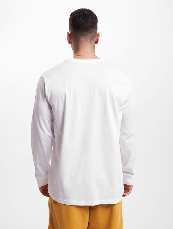 Levi's Relaxed Graphic Longsleeves-1