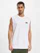 Oversize Simple Dome-2