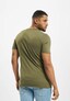 olive_54937