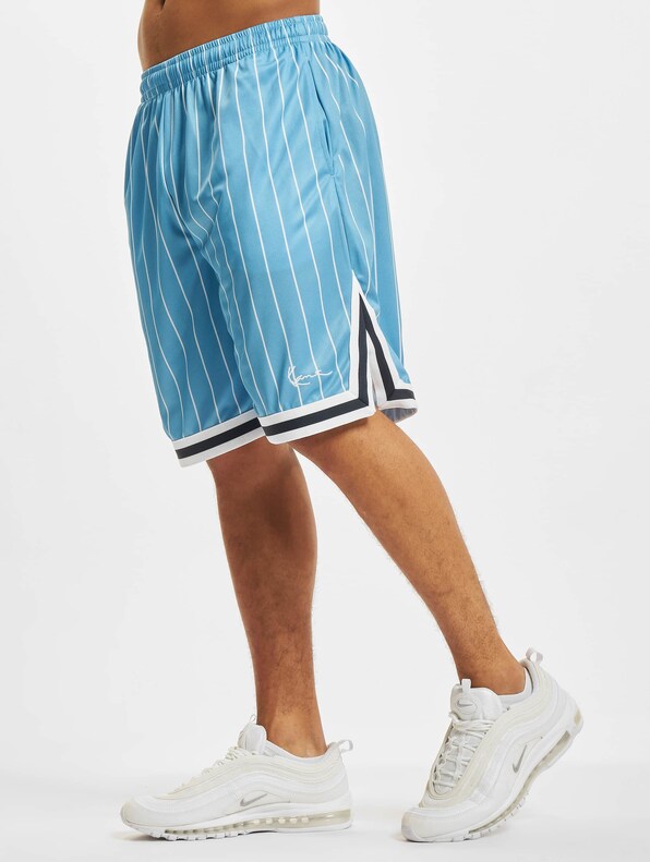Small Signature Pinstripe Mesh-2