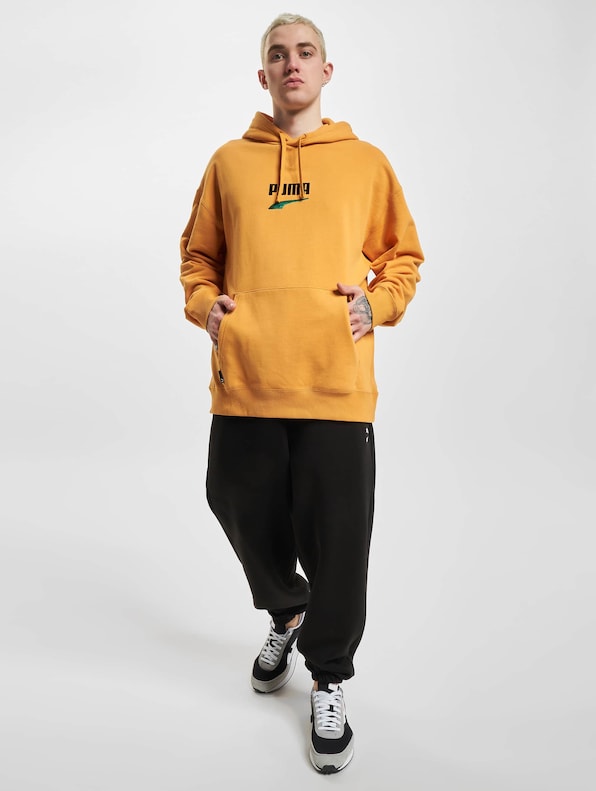 Puma Downtown Logo Hoodies-5