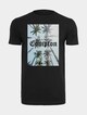 Compton Palms-3