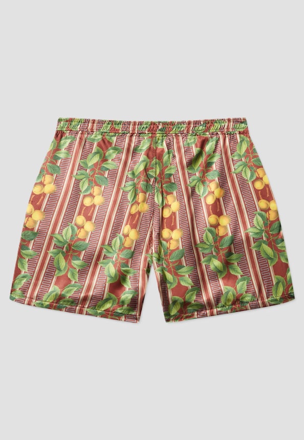 FRUITS  CUBAN SHORTS-6