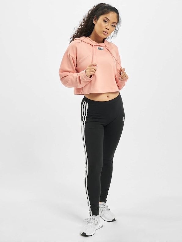 Cropped -5