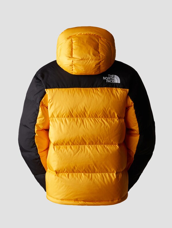 The North Face Hmlyn Down Parkas-4