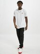Backprint -5