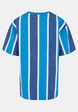 Retro Washed Stripe-4