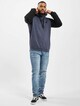 Mr. Raglan-4