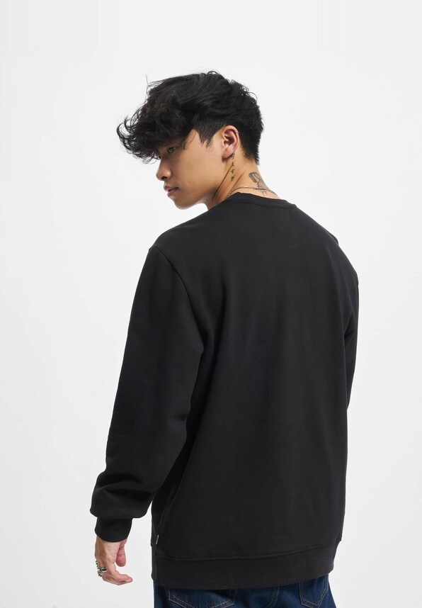 Dylan Stanford Crew-1